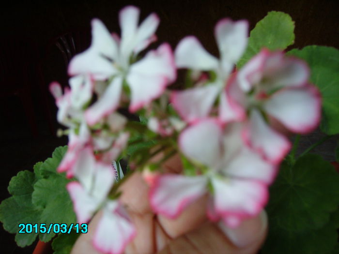 PICT2359