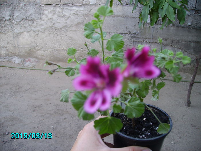 PICT2357