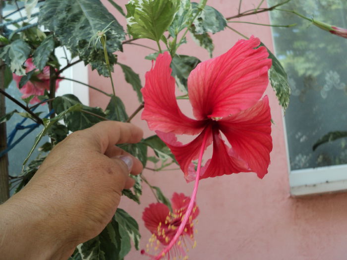 DSC01345