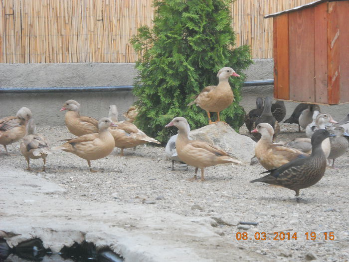 DSCN5170