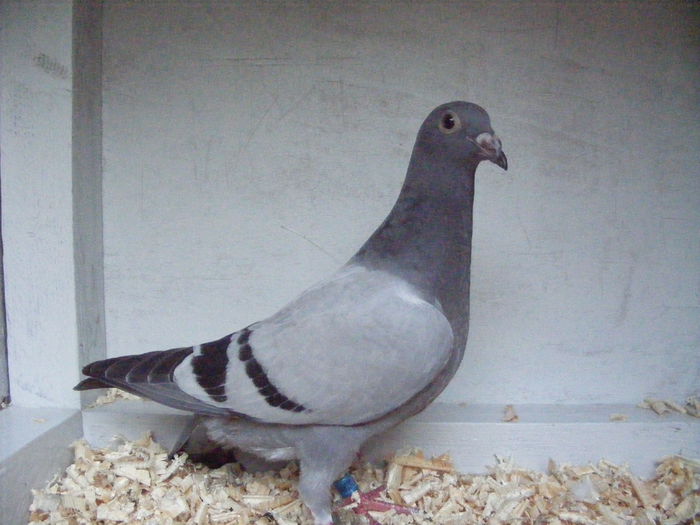 Picture 052 - PUI 2015