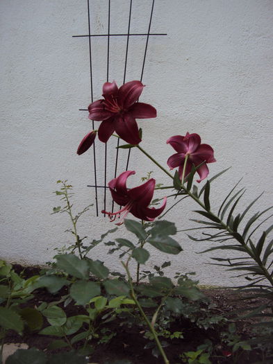 DSC02191