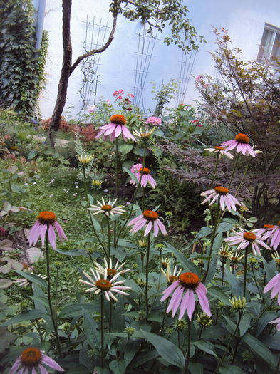 DSC02201