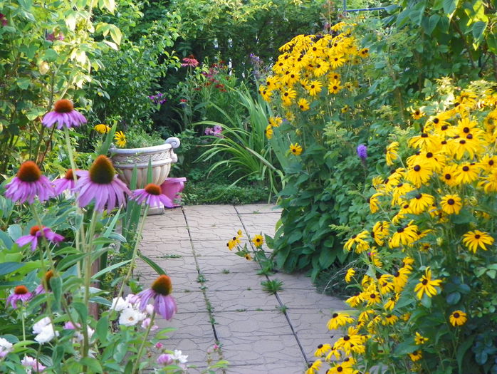 5 aug 080