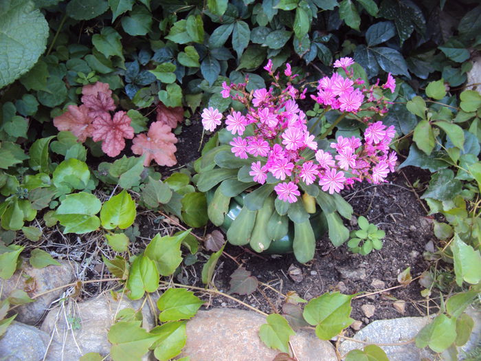 DSC02207