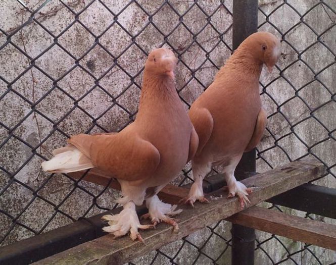 getimages1j41.jpg_1387555572