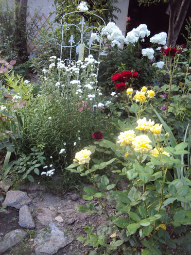 DSC02236