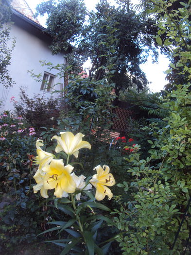 DSC02251