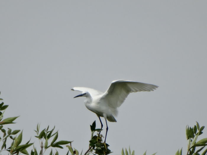 DSC03092 - Valcani-TM