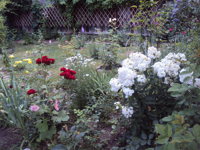 DSC02519