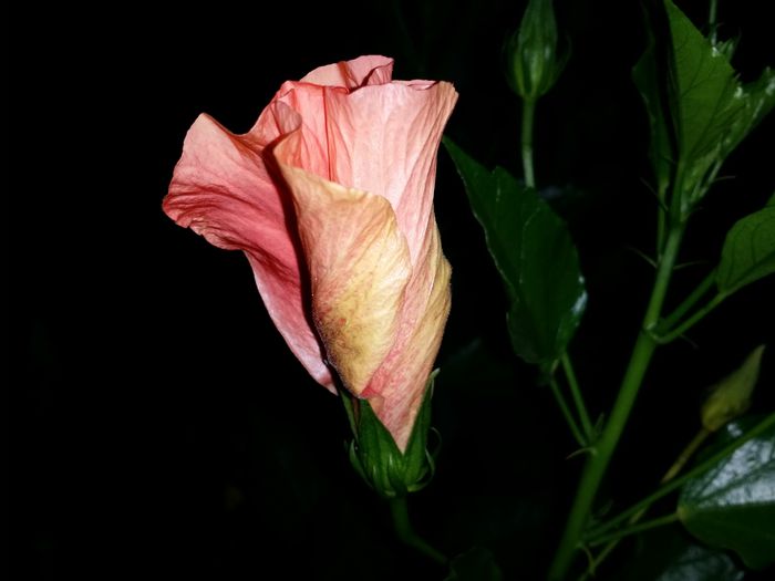 20150805_231646