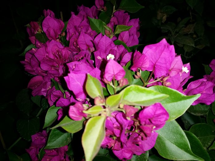 20150805_231815