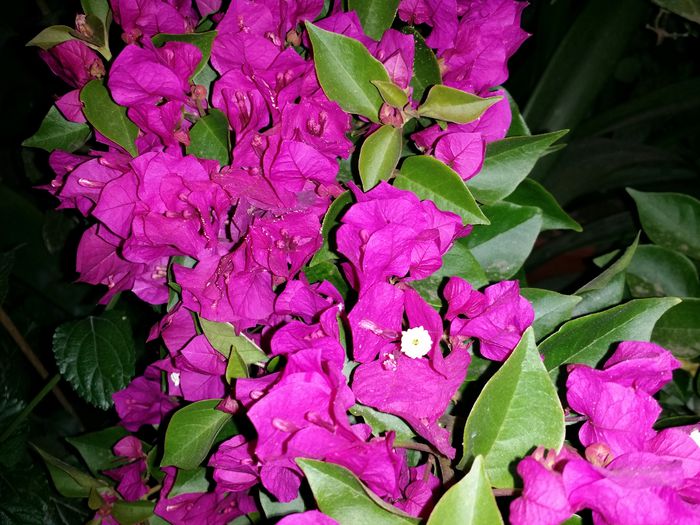 20150805_231758