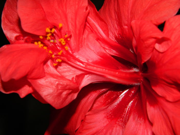 DSCN3779 - 2015_AUGUST