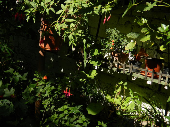 DSCN3935 - 2015_AUGUST