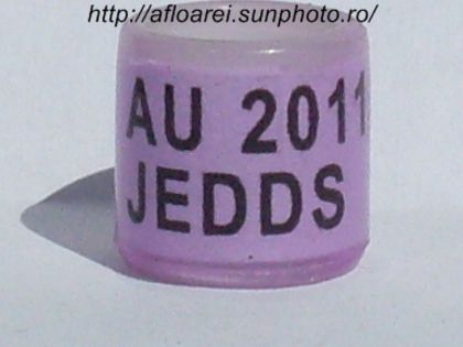 au 2011 jedds