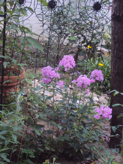 DSC02652
