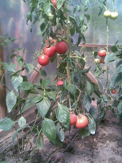 Imag027