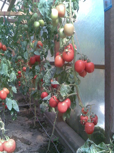 Imag032