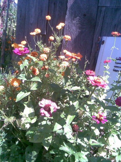 Imag037