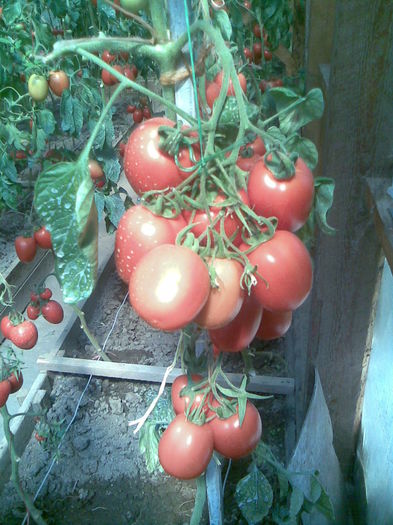 Imag038