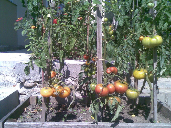 Imag042