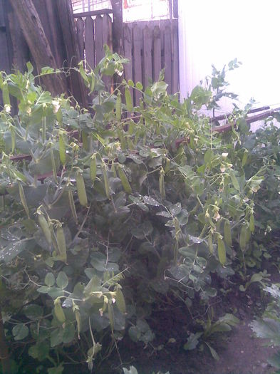 Imag022