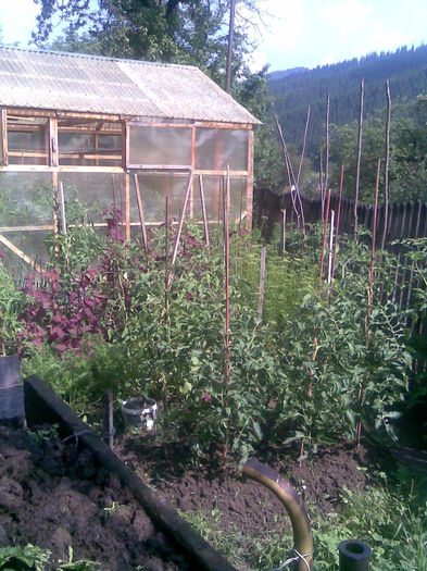 Imag023