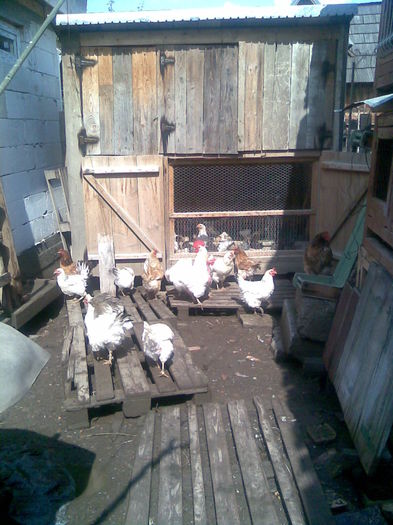 Imag024