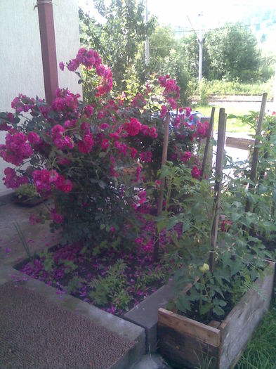 Imag028