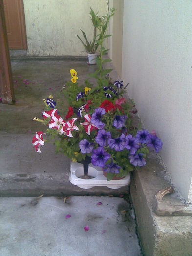 Imag029