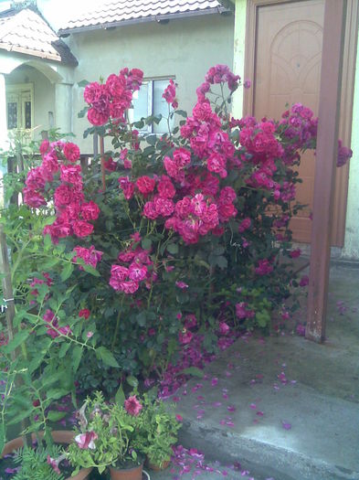 Imag030