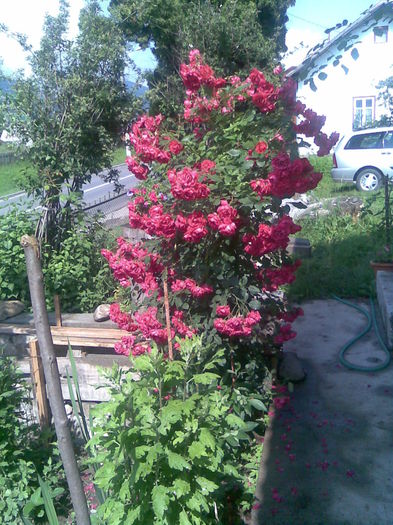 Imag031
