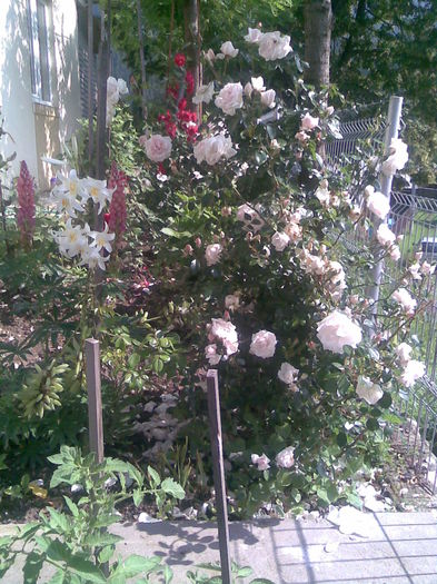 Imag033