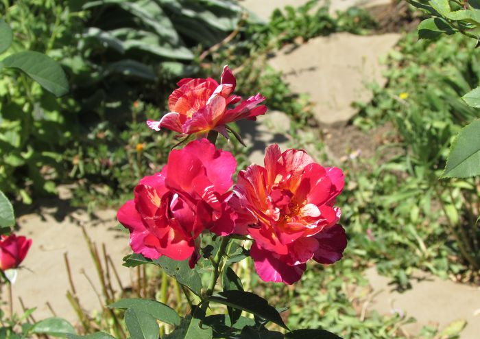 3 aug, Maurice Utrillo