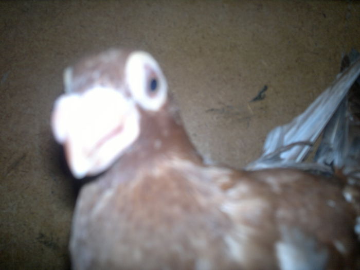 2015-08-07-9345 - pui 2012