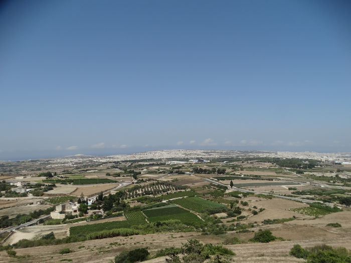 DSC07375
