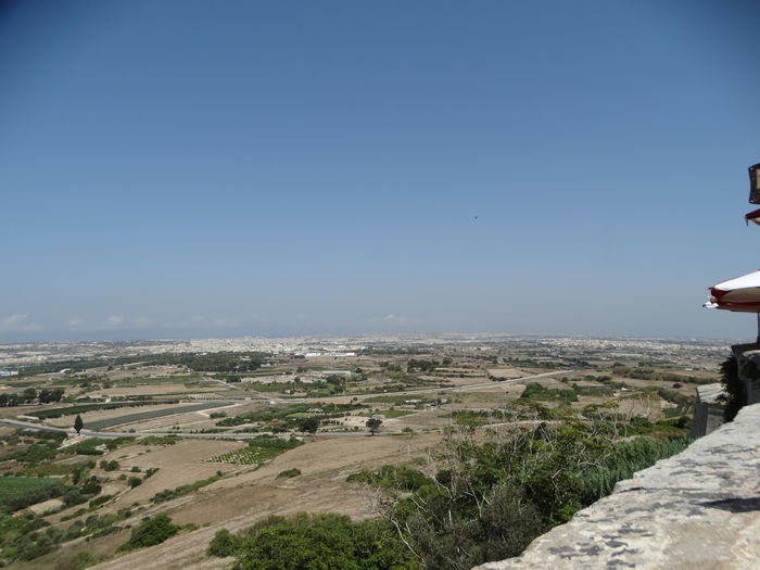DSC07377