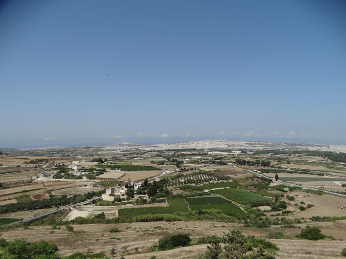 DSC07378