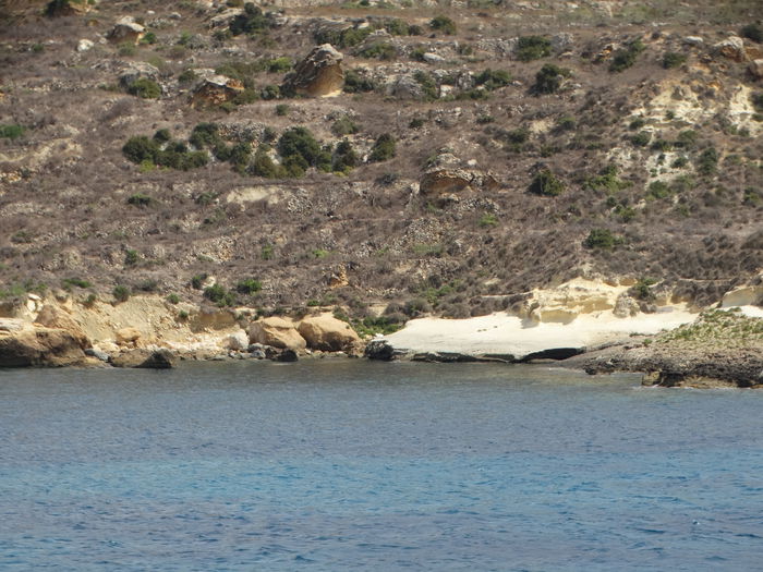 DSC07504 - Malta