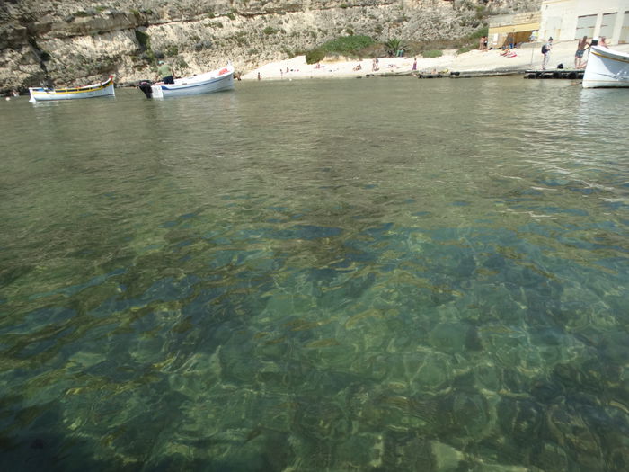 DSC07541 - Malta