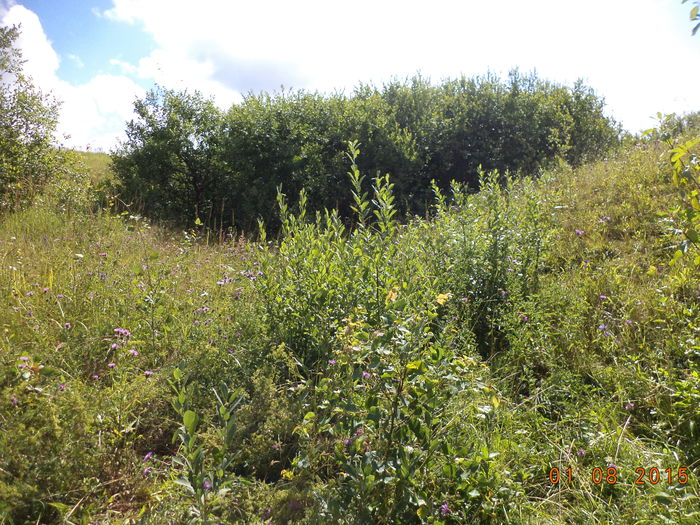 Ne-a dat Dumnezeu de toate