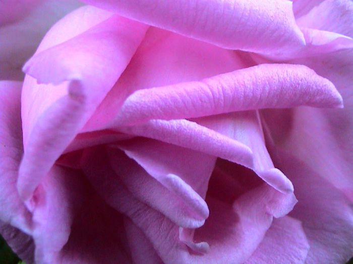 Soapte de parfum (76)