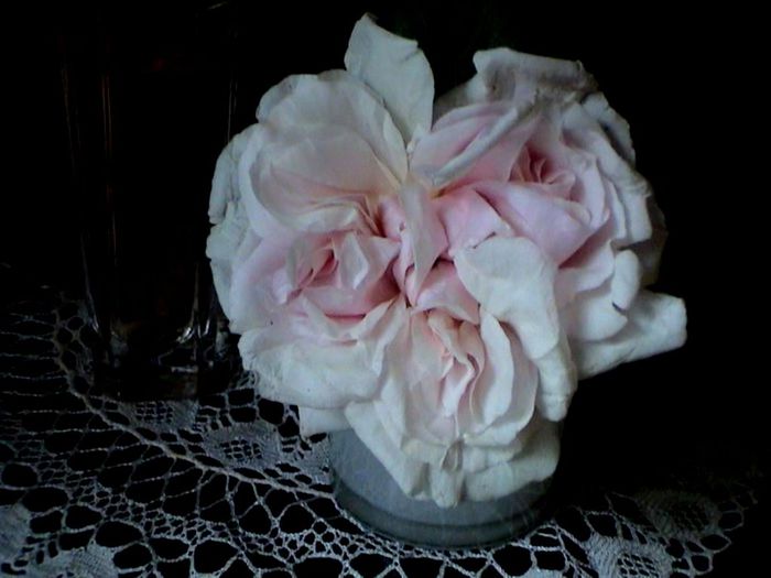 Soapte de parfum (196)