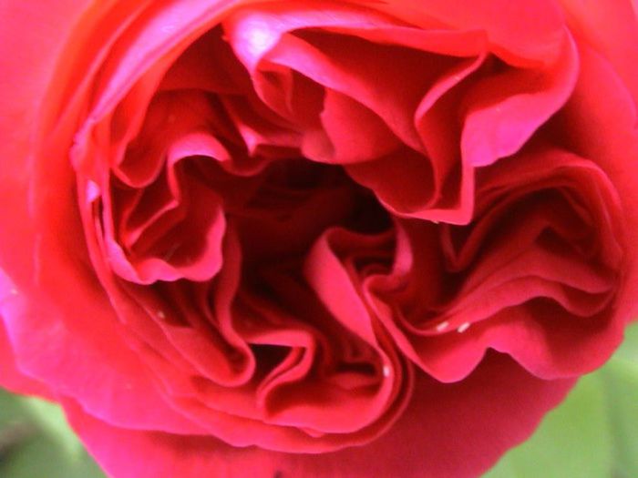 Soapte de parfum (250)