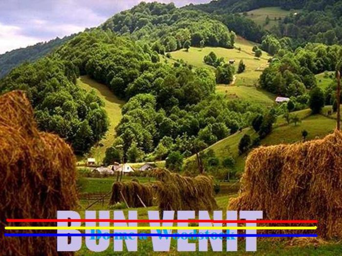 bun venit; borsa maramures rock club
