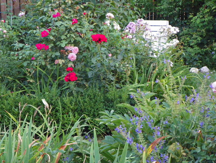 8 aug 098