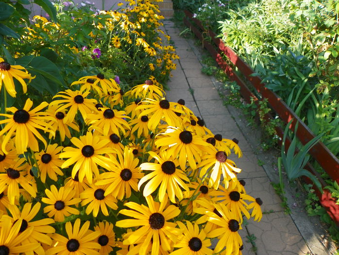 8 aug 093