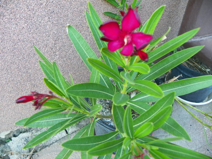 8 aug 094