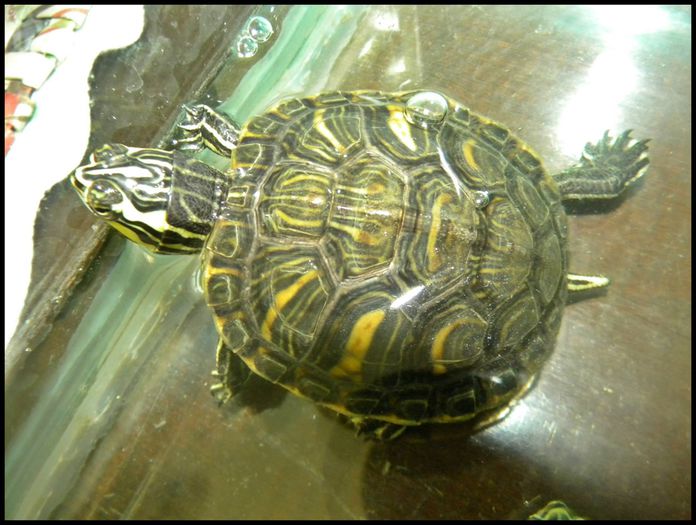 892544_556090164480794_945787207_o